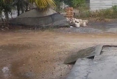 Hujan Intensitas Sedang Mengguyur Sebagian OKI, Termasuk di Kayuagung