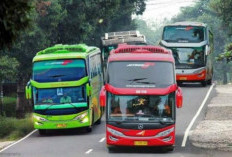 Bingung Pilih Transportasi Darat Mudik Lebaran 2025? Ini Perbedaan dan Keunggulan Bus Double Decker dan SHD