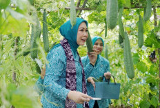 PKK Mitra Strategis Pembangunan Berbasis Keluarga