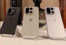 OnePlus 15T Siap Gebrak Pasar dengan Layar OLED Flat 6,3 Inci Beresolusi 1,5K 