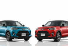 Toyota Raize dan Daihatsu Rocky, Duo Mobil Imut yang Cocok Bangget untuk Anak Muda! Irit BBM dan Eye-Catching