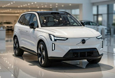 Belum Rilis SUV Listrik Premium Ini Paling Banyak Disorot, Volvo EX60 Diklaim Paling Ngebut di Kelasnya