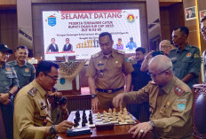 Ratusan Peserta Antusias Ikuti Turnamen Catur Bupati Ogan Ilir Cup 2025, Meriahkan HUT ke-80 RI