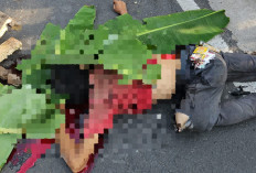 Pemotor Diteriaki Maling Tancap Gas Hingga Menabrak Tiang Listrik, Terduga Pelaku Tewas Terkapar di Jalan 