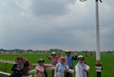 Wisata Viral di Subang, Kampung KDM Tawarkan Suasana Asri dan Instagramable