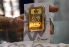 Harga Emas Hari Ini 15 Mei 2026: Antam Turun Rp20 Ribu per Gram