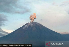 Gunung Semeru Erupsi Pagi Tadi, ini Himbauan PVMBG