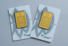 Update Harga Emas Antam 23 Juni 2026: Daftar Lengkap Harga dari 0,5 Gram hingga 1 Kg