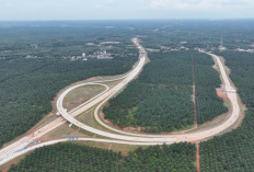 Pembangunan Jalan Tol Betung-Tempino-Jambi Dikebut, Waktu Tempuh Antar Wilayah Kian Dekat
