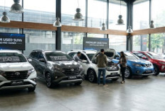 SUV Bekas Harga Rp150 Jutaan Masih Jadi Rebutan! Ini 10 Pilihan Terbaik 2026 yang Layak Dibawa Pulang