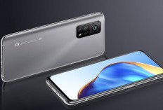  5 Rekomendasi HP 5G Murah Kualitas Terbaik, Salah Satunya Ada HP Samsung 