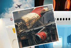 4 Analisis Pakar Vishwas Kumar Ramesh Ajaib Bisa Selamat Laka Pesawat Air India 