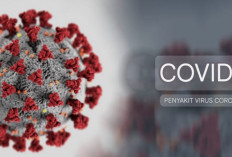 Kasus Covid-19 di Sumsel Bertambah Jadi 3 Orang, Begini Penjelasan Kadinkes Terkait Kondisi Para Pasien