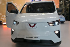 Wuling Mitra EV Bisa Dipakai Buat Macam-macam Urusan Manusia, Diconvert Jadi Campervan atau Bawa Jenazah 
