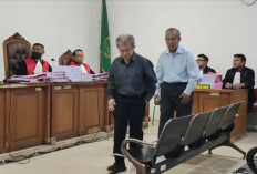 Taipan Sawit Sumsel Wilson Sutantio Dituntut 2,5 Tahun Penjara di Kasus Kredit BRI, Mangantar Siagian 2 Tahun