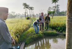 2 Bocah Perempuan di Kertabayang Ogan Ilir Ditemukan Tenggelam di Sumur, Polsek Rantau Alai Cek TKP