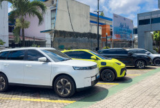 Clean Energy Day PLN UID S2JB Catat Penghematan Emisi Karbon Signifikan
