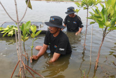 BRI Menanam – Grow dan Green: Komitmen Nyata BRI Dukung Keberlanjutan dan Lingkungan Hidup