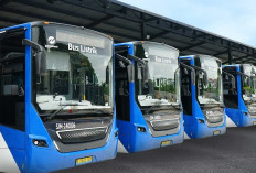 Pabrik Kendaraan Listrik Resmi Beroperasi, Pemerintah Tekan Ketergantungan BBM