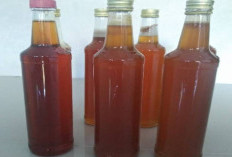 Mengenal 5 Manfaat Madu untuk Kesehatan, dari Meredakan Batuk hingga Sumber Antioksidan