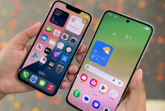 Layar dan Kamera iPhone Dari Samsung Itu Fakta, Tapi Analisis Koki & Tukang Bangunan Bikin Beda Kualitasnya 