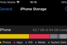 7 Tips iPhone yang Memori Penuh, Dijamin Lebih Lega Tanpa Harus Langsung Hapus Semua Foto