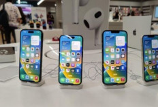 Harga HP iPhone 14 Series Oktober 2026, Mulai Rp8 Jutaan, Cek Daftar Lengkapnya