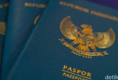 Paspor WNI Bisa Masuk ke 88 Negara Tanpa Visa, Nama-namanya