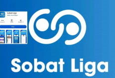 AYO, Dukung Klub Favorit Anda Lebih Praktis dengan Aplikasi Sobat Liga