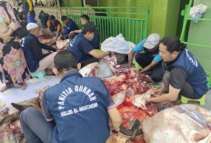 Begini Tata Cara Menyembelih Hewan Kurban Sesuai Syariat Islam, Cocok untuk Panduan Panitia Kurban
