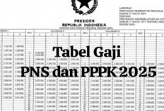 Horee! Terkait Gaji PPPK Perpres Resmi Disahkan, PPPK Tahap 2 Akan Terima Gaji