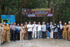 Jamur Pelawan Namang Masuk Tahap Pemeriksaan Substantif Indikasi Geografis
