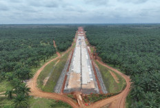 Progres Pembangunan Jalan Tol Palembang-Jambi Per April 2025, Dikebut dengan Inovasi Teknologi dan Strategi