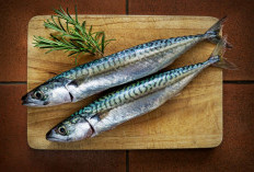 Dari Ikan Tuna hingga Ikan Kembung, Inilah 5 Pilihan Ikan Bernutrisi untuk Kesehatan