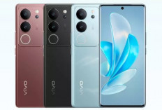 Bisa Pilih Vivo Y2 Kapasitas Baterai 6.500 mAh dan Harga Ramah Dikantong