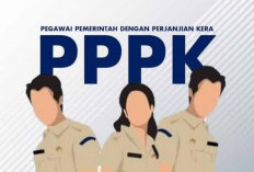 Wajib Tahu! Pemerintah dan DPR Matangkan Aturan Baru Tak Ada Lagi Tenaga Honorer