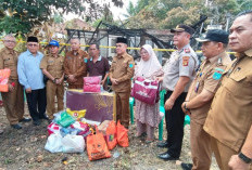 Wabup Ogan Ilir Tinjau Lokasi Kebakaran di Desa Sungai Pinang II, Salurkan Bantuan untuk Korban