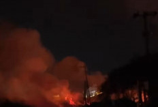 Cuaca Kering Dominasi Sumsel, Waspada Potensi Karhutla dan Kekeringan Meningkat