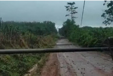 Empat Tiang Listrik di Pedamaran Timur OKI Roboh, Hujan Deras dan Angin Kencang