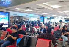 Kabut Asap Ganggu 31 Penerbangan dari dan ke Bandara Internasional SMB II Palembang