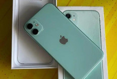 Review iPhone 11 di 2026, Apakah Masih Worth It untuk Dibeli?