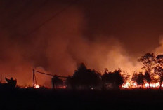 Kualitas Udara Palembang Memburuk Minggu Malam, Warga Diminta Batasi Aktivitas di Luar Rumah