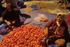 Kisah Sedih Safitri Sisihkan Uang Cabe Beli Baju Korpri, Biar Suami Gagah Dilantik PPPK Tapi Dicerai 