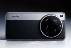 HP Xiaomi Performa Tangguh Cocok untuk Penggunaan Sehari-hari