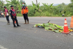 Lakalantas di Depan Obor Jalan Lintas Palembang-Indralaya, Seorang Pria Tergeletak Tak Bernyawa