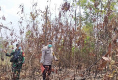 Muara Enim Gencarkan Patroli Gabungan, Sisir Perbatasan Cegah Karhutla