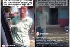 Kelangkaan BBM di Bengkulu Picu Lonjakan Harga di Pengecer, Pertalite Tembus Rp80 Ribu per Liter