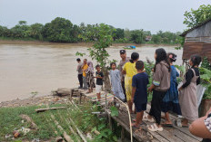 Heboh Penampakan Buaya di Ogan Ilir, Personel Polsek Tanjung Raja Cek ke Lokasi yang Diiformasikan Warga