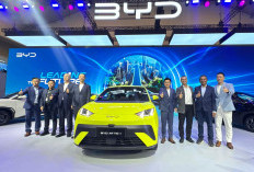 Atto 1 Laku Keras, Tesla Model 3 dan Hyundai Ioniq 5 Mulai Kehilangan Spotlight