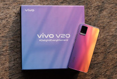 Spesifikasi Vivo V20: HP Fotografi Harga 2 Jutaan dengan kamera 64MP dan NFC